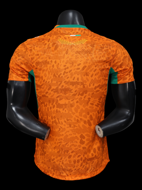 Côte d'Ivoire Maillot Domicile 26/27 – Version Player