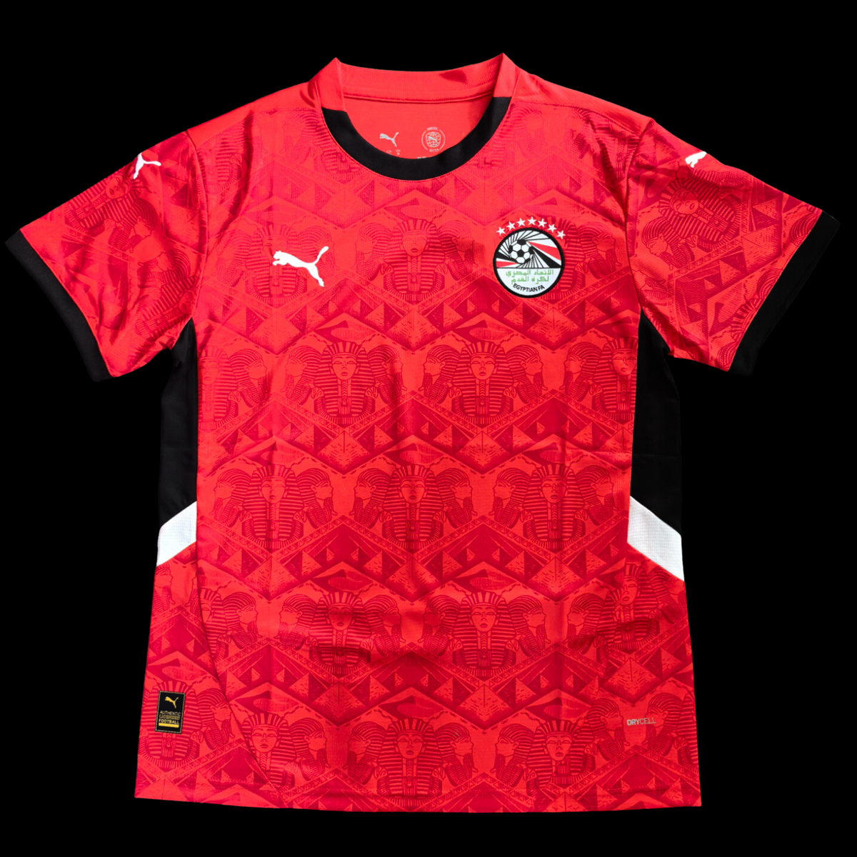 Egypte Maillot Domicile 24/25
