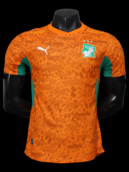 Côte d'Ivoire Maillot Domicile 26/27 – Version Player