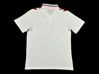 Dinamarca Camiseta Visitante 24/25