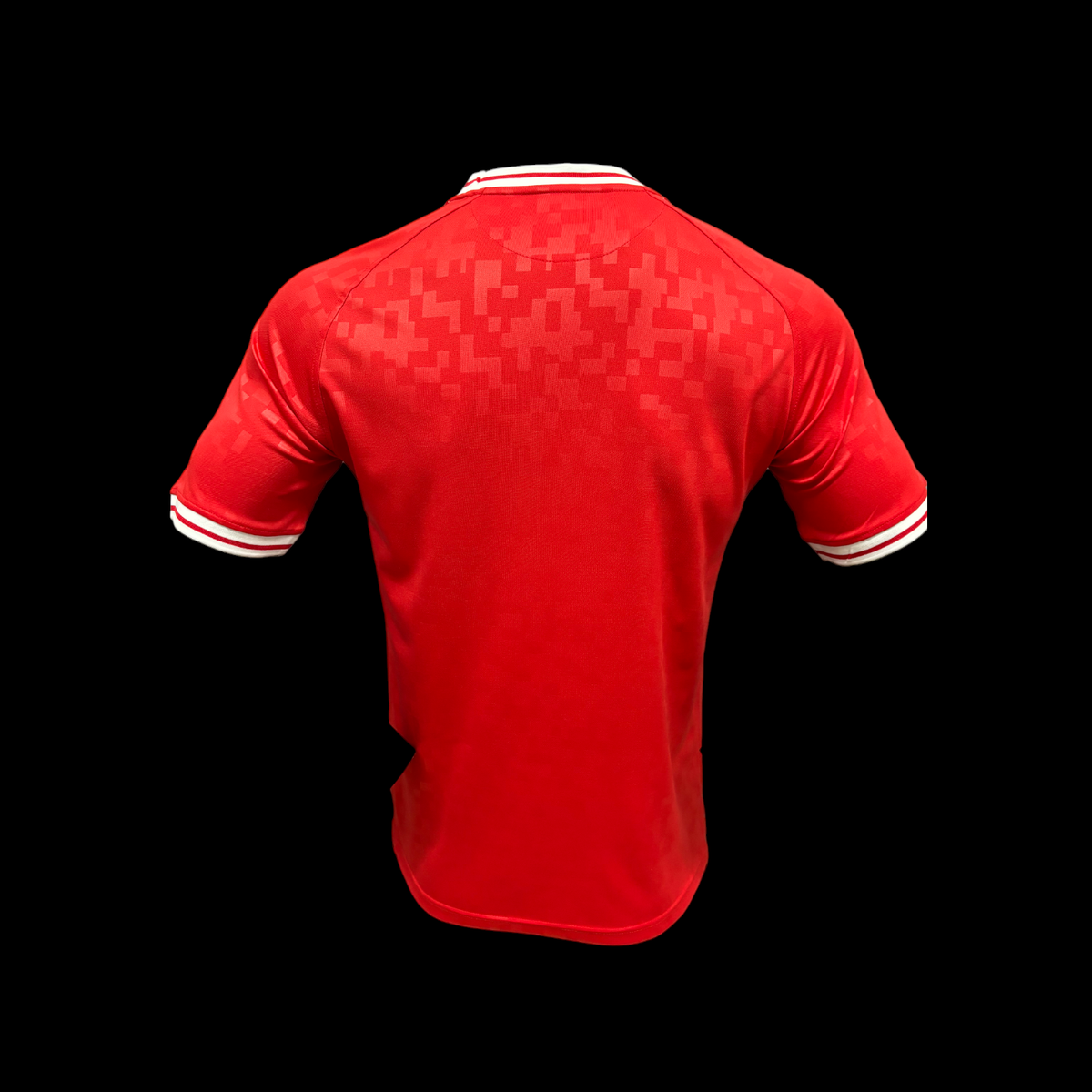 Dinamarca Camiseta Local 24/25 – Versión Jugador