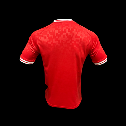 Dinamarca Camiseta Local 24/25 – Versión Jugador
