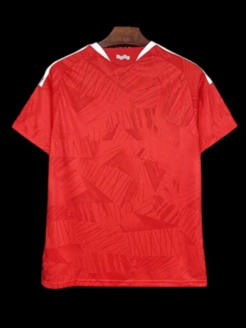 Benfica Home Jersey 25/26