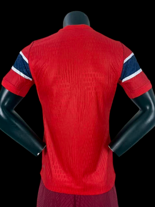 Norvege Maillot Domicile 26/27 - Version Player